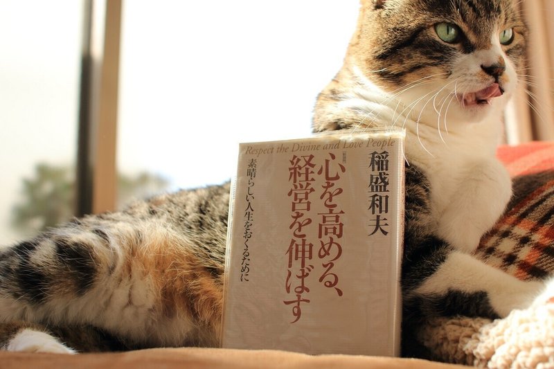 読書記録 心を高める経営を伸ばす ゆうほ Note 読書記録 心を高める経営を伸ばす ゆうほ Note