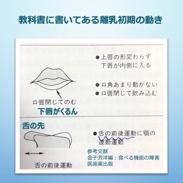 食べる機能の発達➁離乳初期｜あやの子どもの食べること研究所