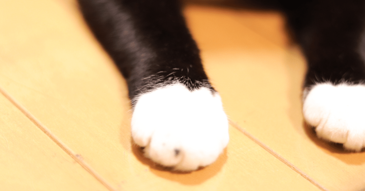 124 指なし手袋 Fingerless Gloves Flowerz Law Office Flz Note