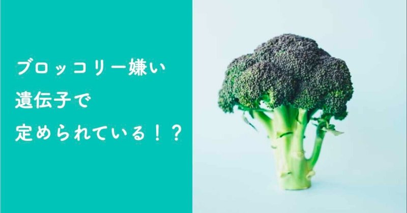 ブロッコリー嫌いな人 Mm Note ブロッコリー嫌いな人 Mm Note