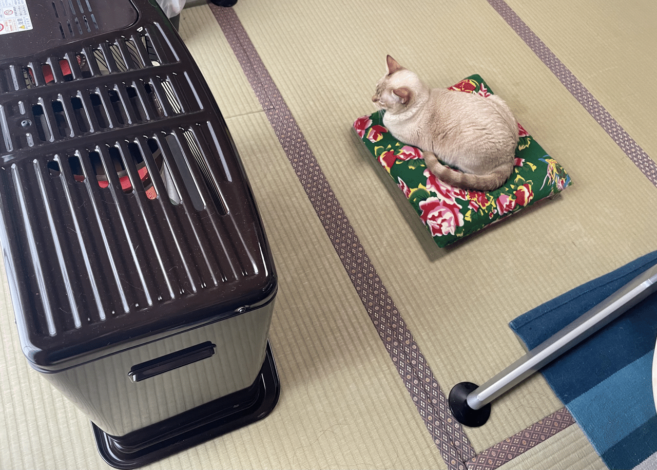 猫日和 157 特等席ーー節分だけど まだ寒い Yayayasu Note