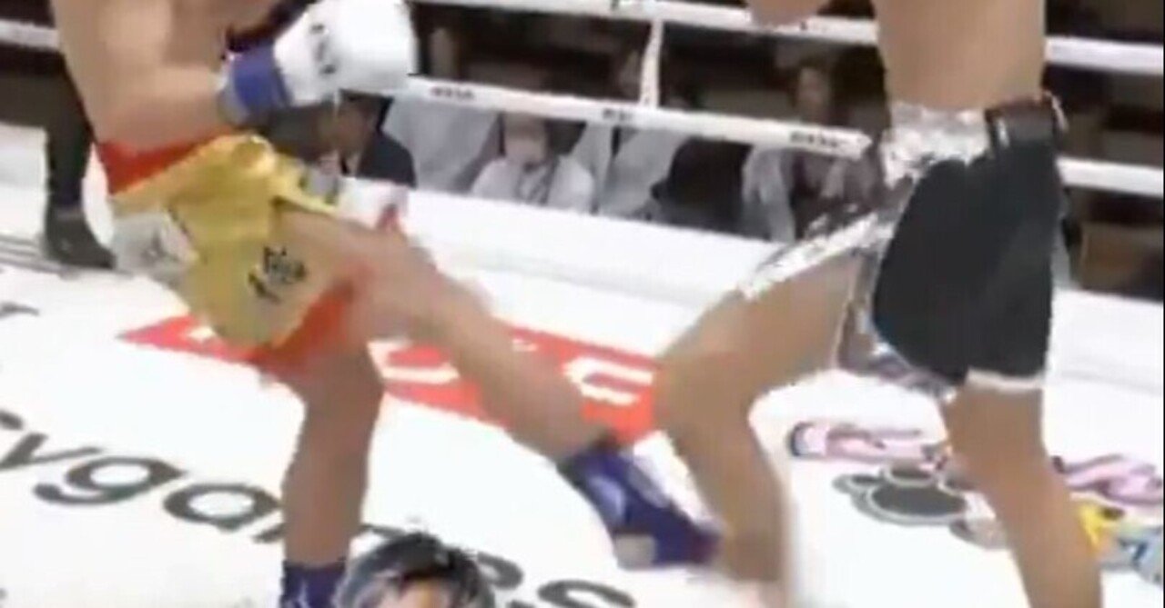 カーフキックミット 左右利用できます カーフキックがなぜ1発で効くのか”を解剖学的に考えてみた