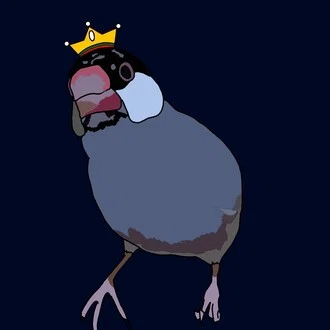 もなちん＊ぶんちょと鸚哥のカイヌシ＊
