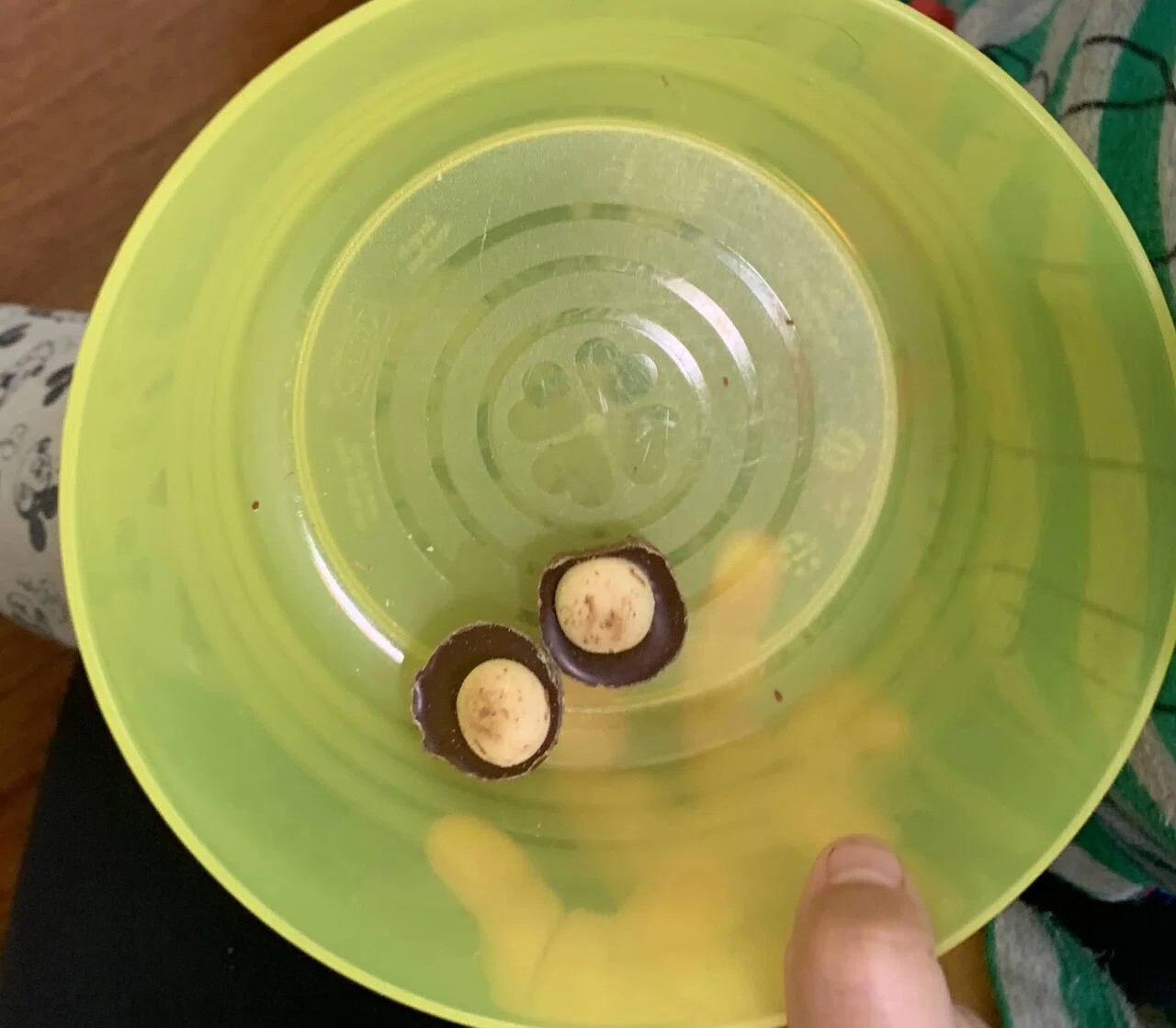 不安解消ホルモンのセロトニンを増やすために実行した3つのこと｜アツ