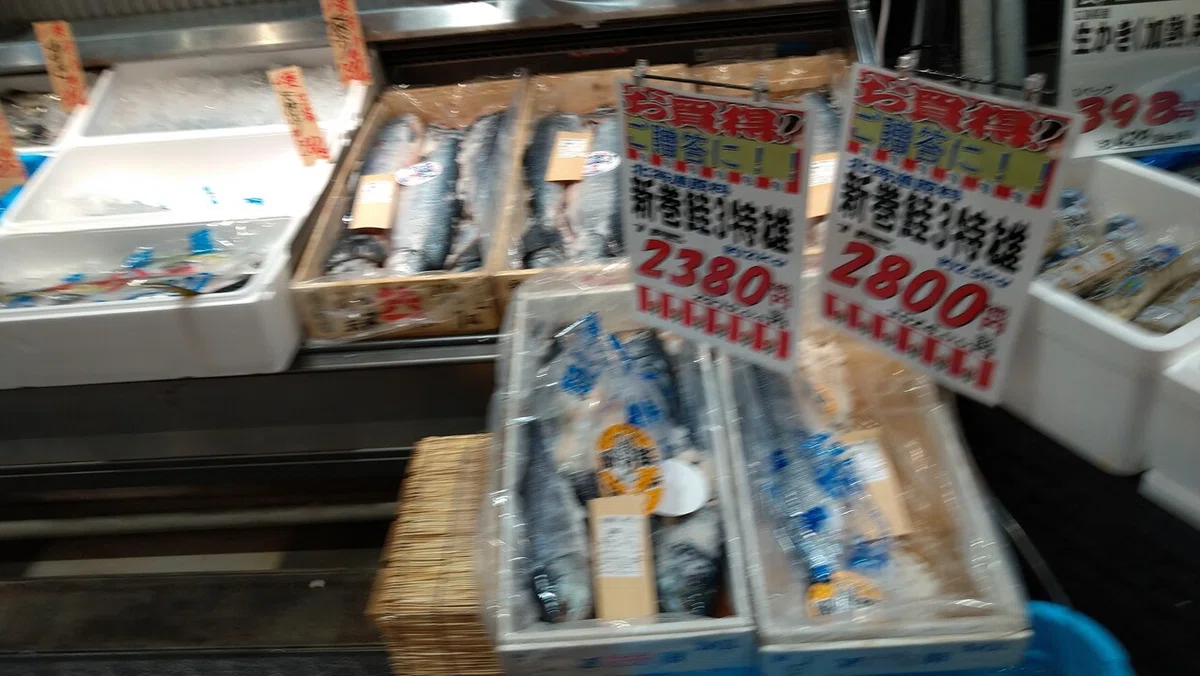 画像7