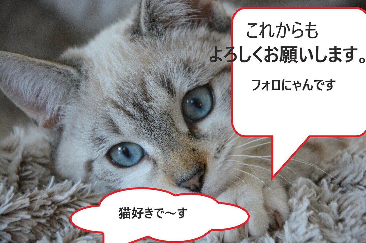 どうも ありがとうございます 趣味は可愛い動物の写真や動画を見ることと これからもよろしくお願いします フォロにゃん ネコ好きです フォロ歓迎ですよ 100 応援中 Note どうも ありがとうございます 趣味は可愛い動物の写真や動画を見ることと これからもよろしくお願いします フォロにゃん ネコ好きです フォロ歓迎ですよ 100 応援中 Note