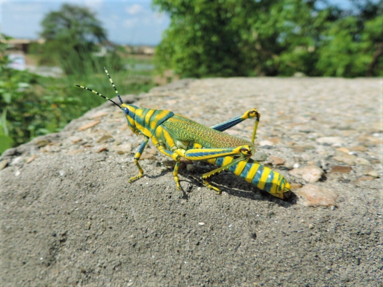 フレンドリーすぎる男どもの国 パキスタン 浅地亮 自転車旅で見る世界 Note