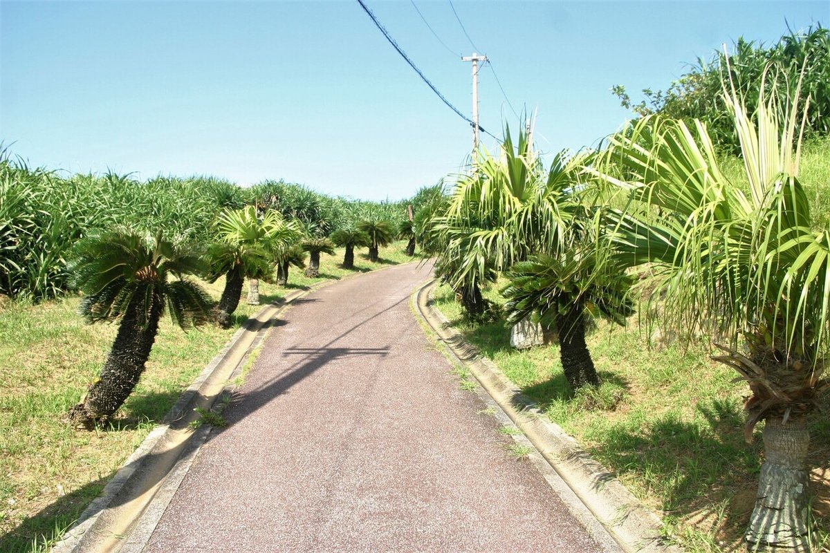 最西端の岬の道修正