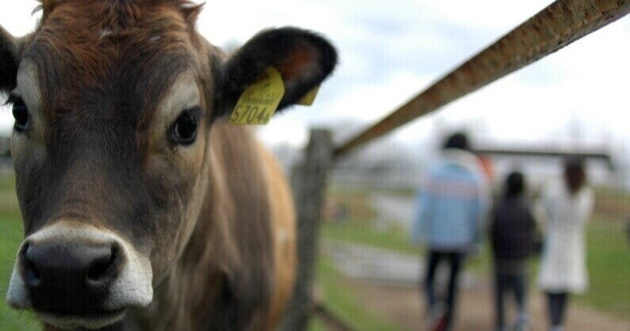 生キャラメルの花畑牧場は今 Ahiraga Note 生キャラメルの花畑牧場は今 Ahiraga Note
