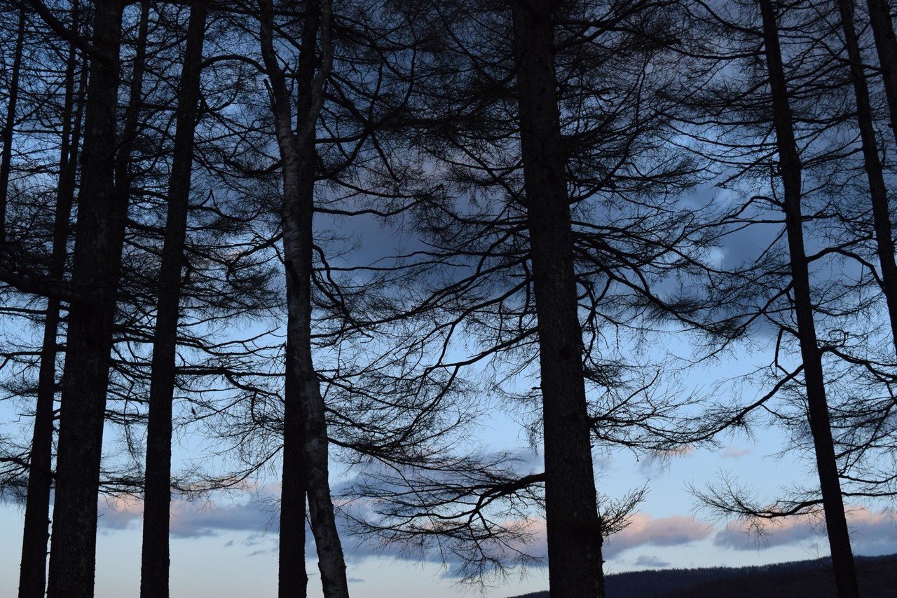 軽井沢 のユニークな旅 穴場車中泊スポットご紹介 旅の音楽家 Studio Iota Label スタジオ イオタ Note 軽井沢 のユニークな旅 穴場車中泊スポットご紹介 旅の音楽家 Studio Iota Label スタジオ イオタ Note