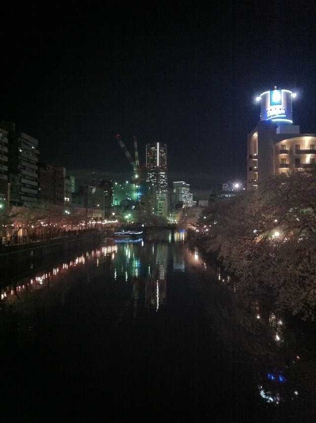 ためしに、この前撮ったランドマークタワーと夜桜を。