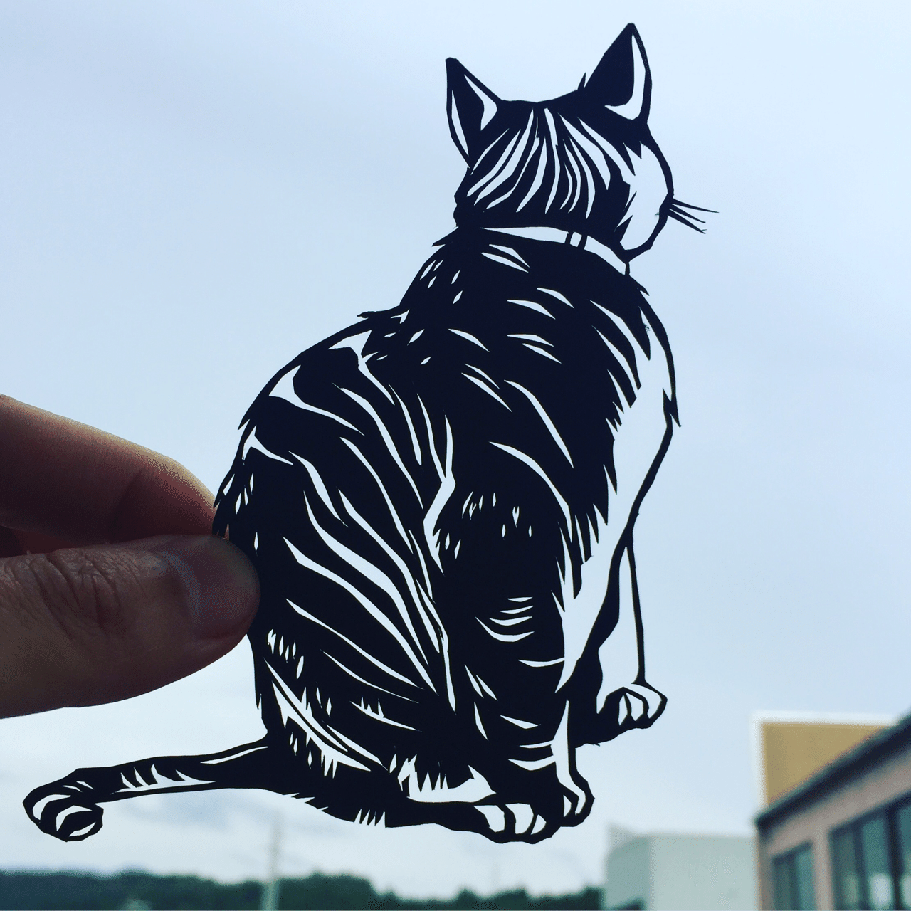 切り絵猫11 丸く収まらずとも明日は来る｜切り絵作家 草太