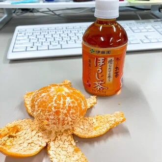 猫目
