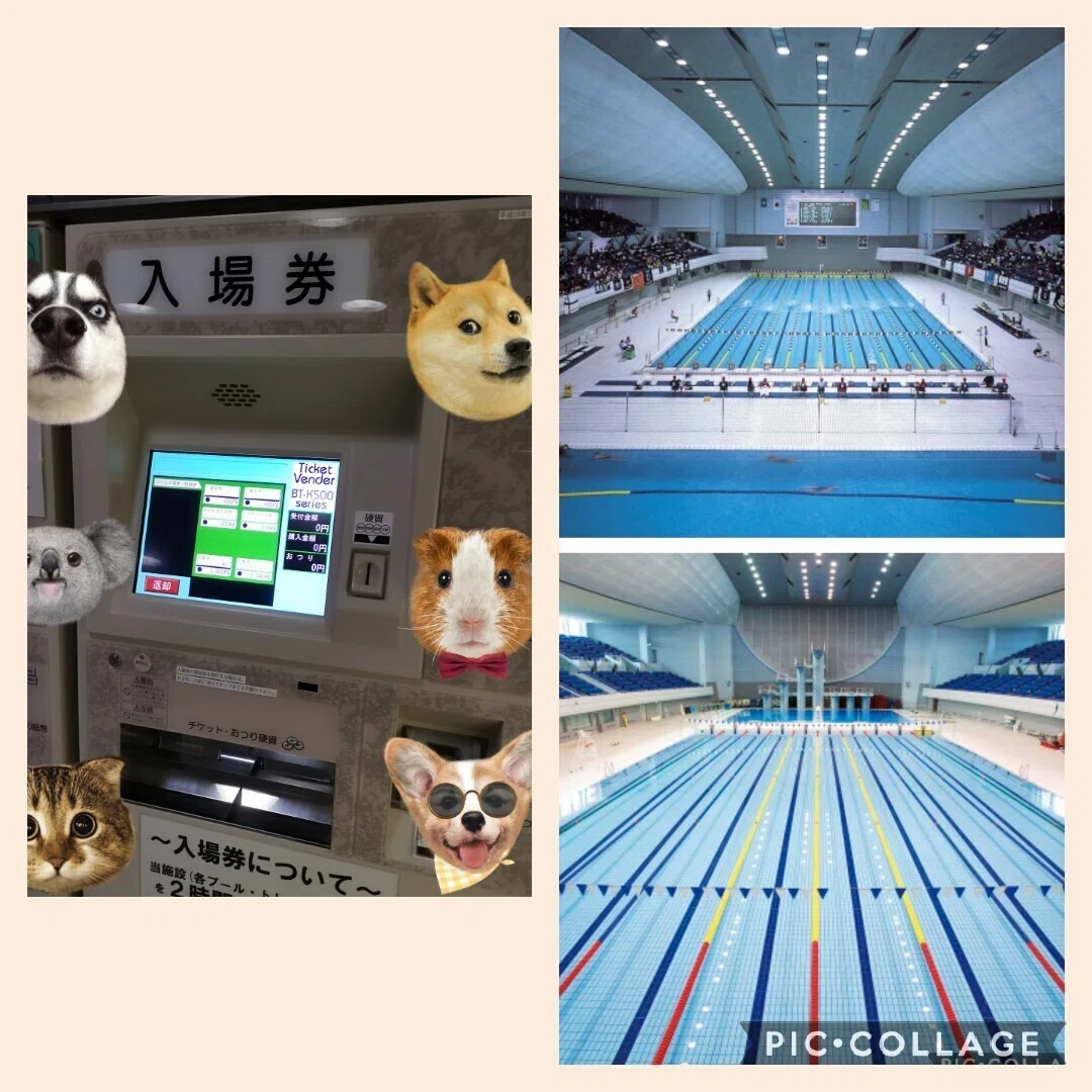 2年ぶりにプールへ 仕事の帰りに20分間400m ビートバンを使用して 泳いでみた しかし コロナの影響で 水着の脱水器なしに ドライヤー2台のみ 国際総合水泳場に初めてでありましたが 泳ぐとスッキリ Mipoka Life Style Note