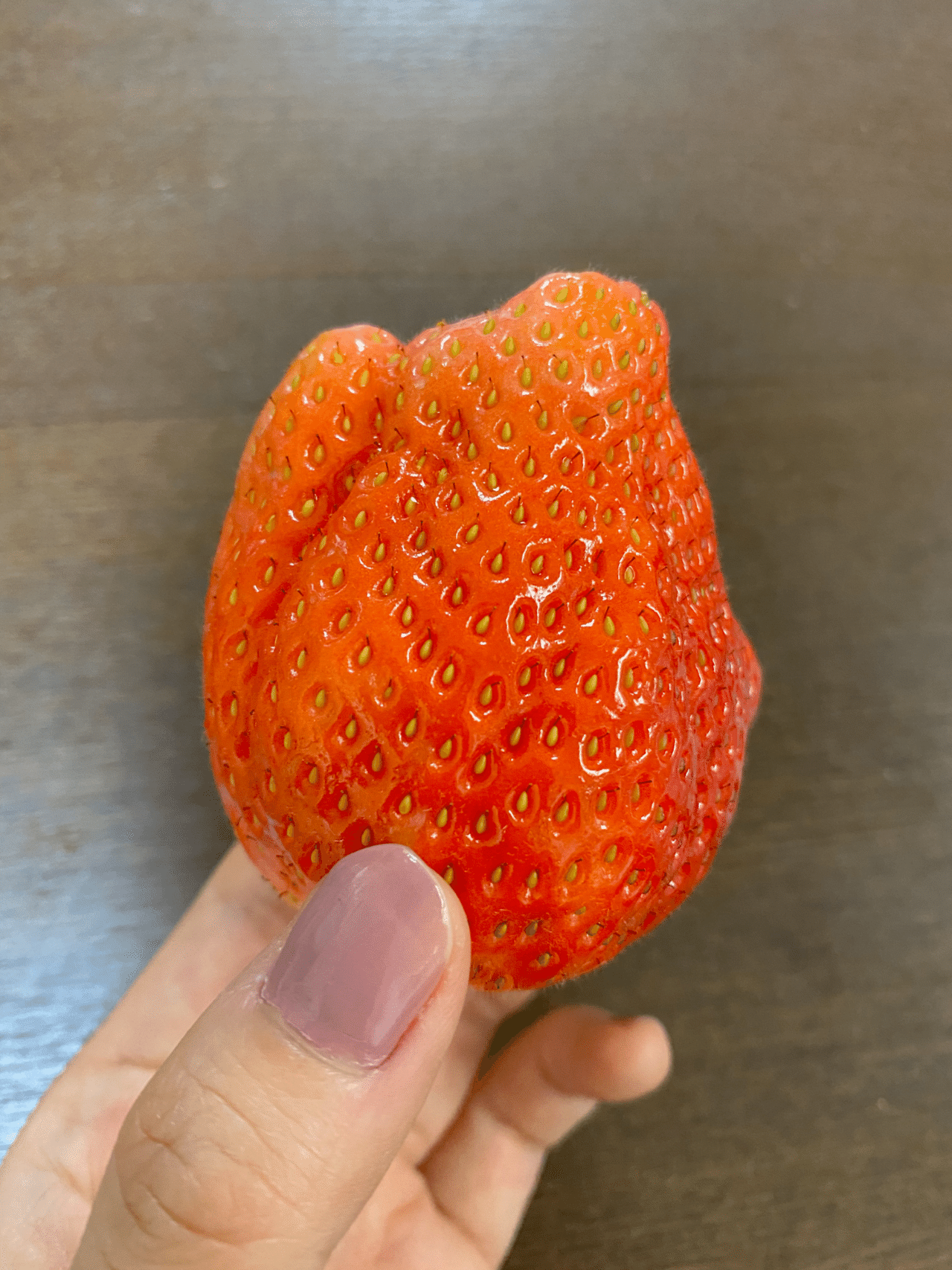 いちごと言えば栃木 いや茨城 アーストラベル水戸 Note いちごと言えば栃木 いや茨城 アーストラベル水戸 Note