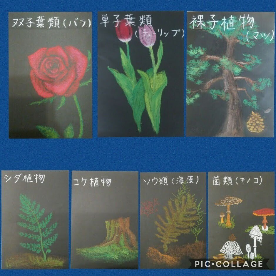 子ども 植物学 やりたいことをやればいい とは限らない 神戸シュタイナーハウス Note