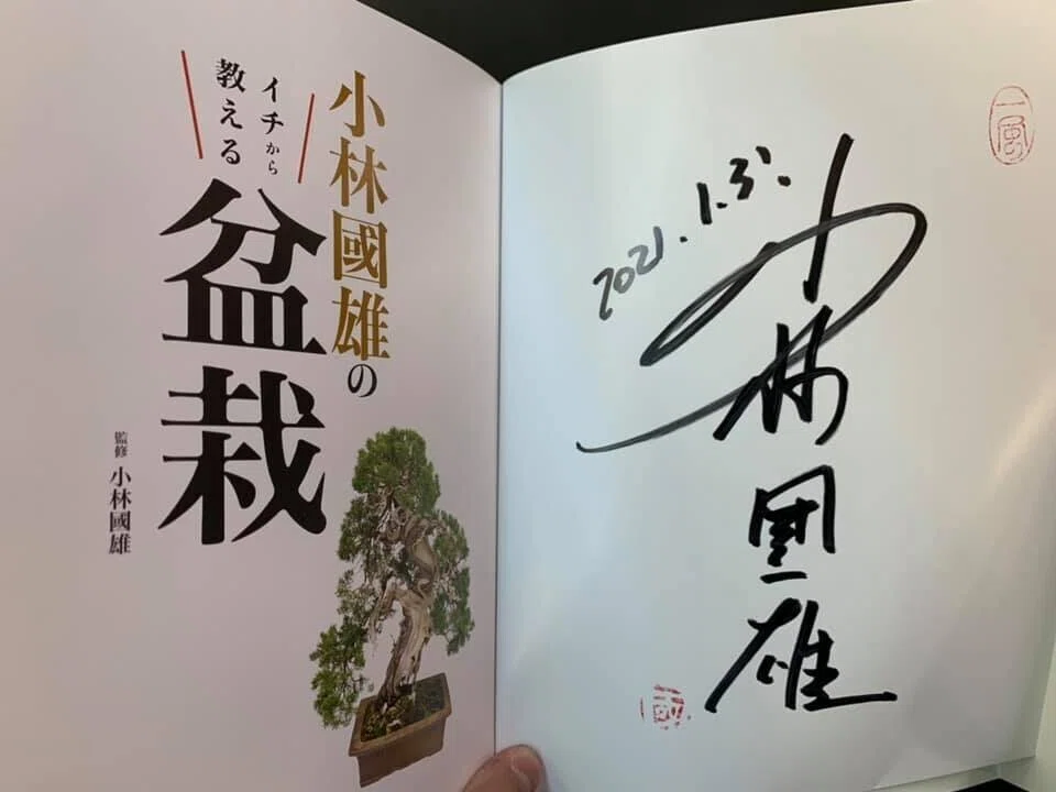 五葉松の盆栽を始めました@春花園BONSAI美術館｜吉田 亮@ホトカミ運営