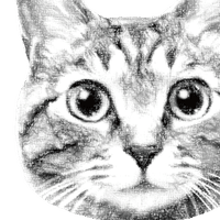 猫じゃらしのモチーフ 咲え Note 猫じゃらしのモチーフ 咲え Note