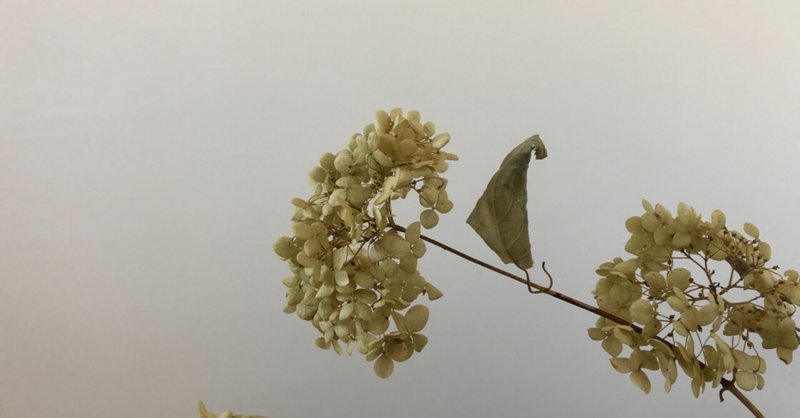 人と会いたくない も 大切な自分の気持ち ぽんぬ note