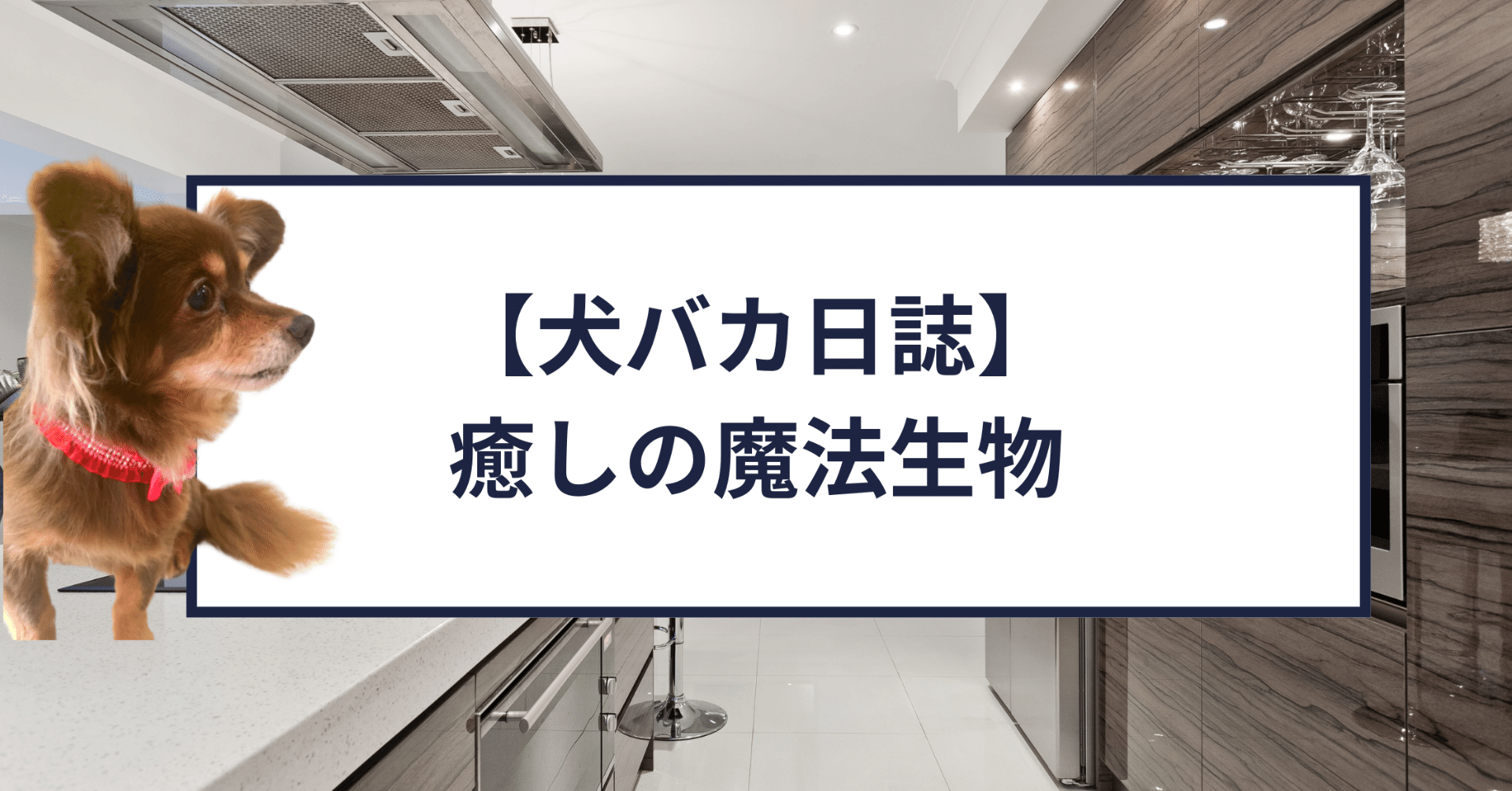 犬バカ日誌 癒しの魔法生物 Ak Yoga フォロバ100 Note