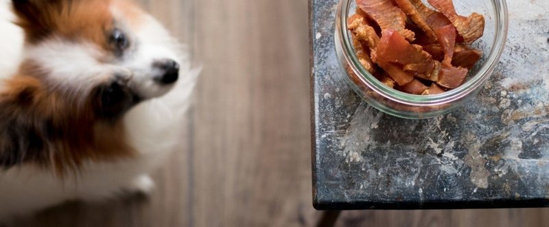 材料ひとつ まぐろのジャーキー 手作り犬おやつレシピ いちかわあやこ 犬ごはん先生 Note