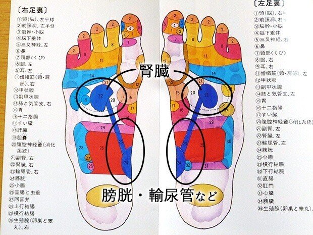 足裏マッサージをご紹介 深呼吸 Note