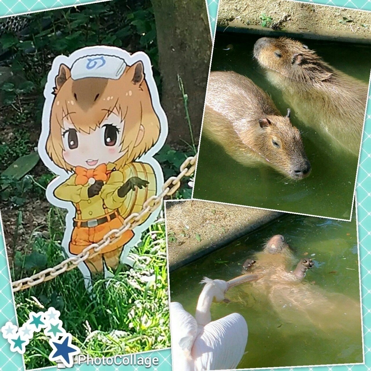 けものフレンズと東武動物公園と動物 白イタチ Note