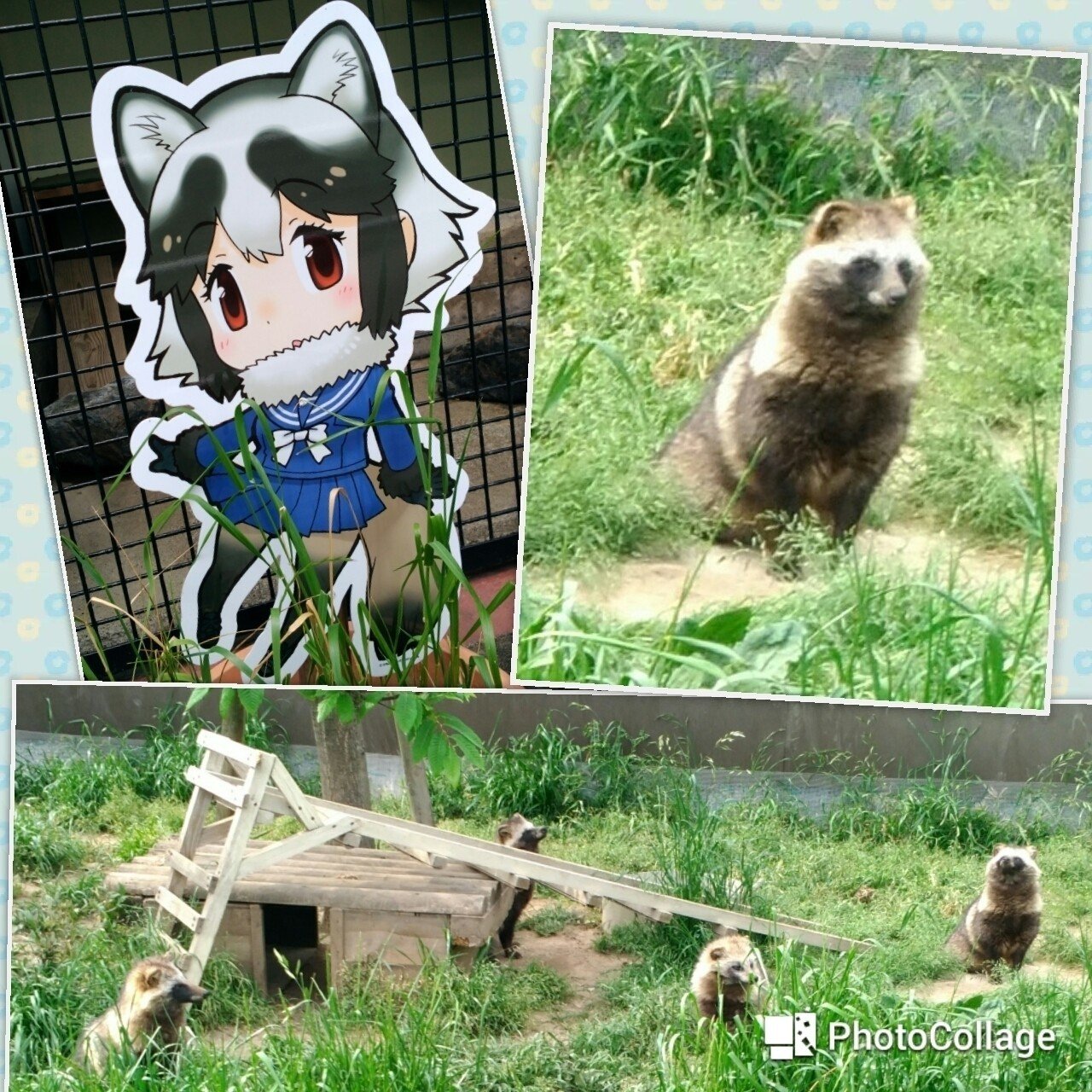 けものフレンズと東武動物公園と動物 白イタチ Note けものフレンズと東武動物公園と動物 白イタチ Note