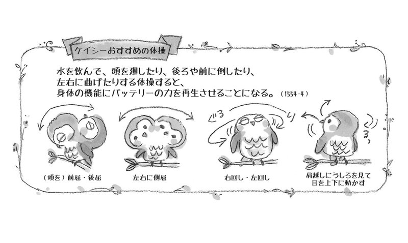 ケイシー流 視力回復法 光田菜央子 Note