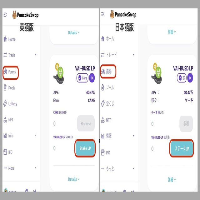イケハヤさんの「仮想通貨＆DeFiメルマガ」体験中-「➓PancakeSwapで流動性を供給する」｜てった