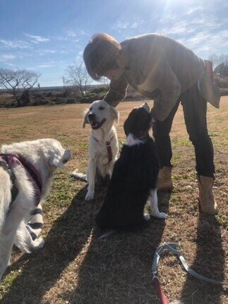 散歩中 不安や恐怖から他の犬などに吠えてしまう愛犬を叱る事は正しいのか Deartails Sora Note 散歩中 不安や恐怖から他の犬などに吠えてしまう愛犬を叱る事は正しいのか Deartails Sora Note