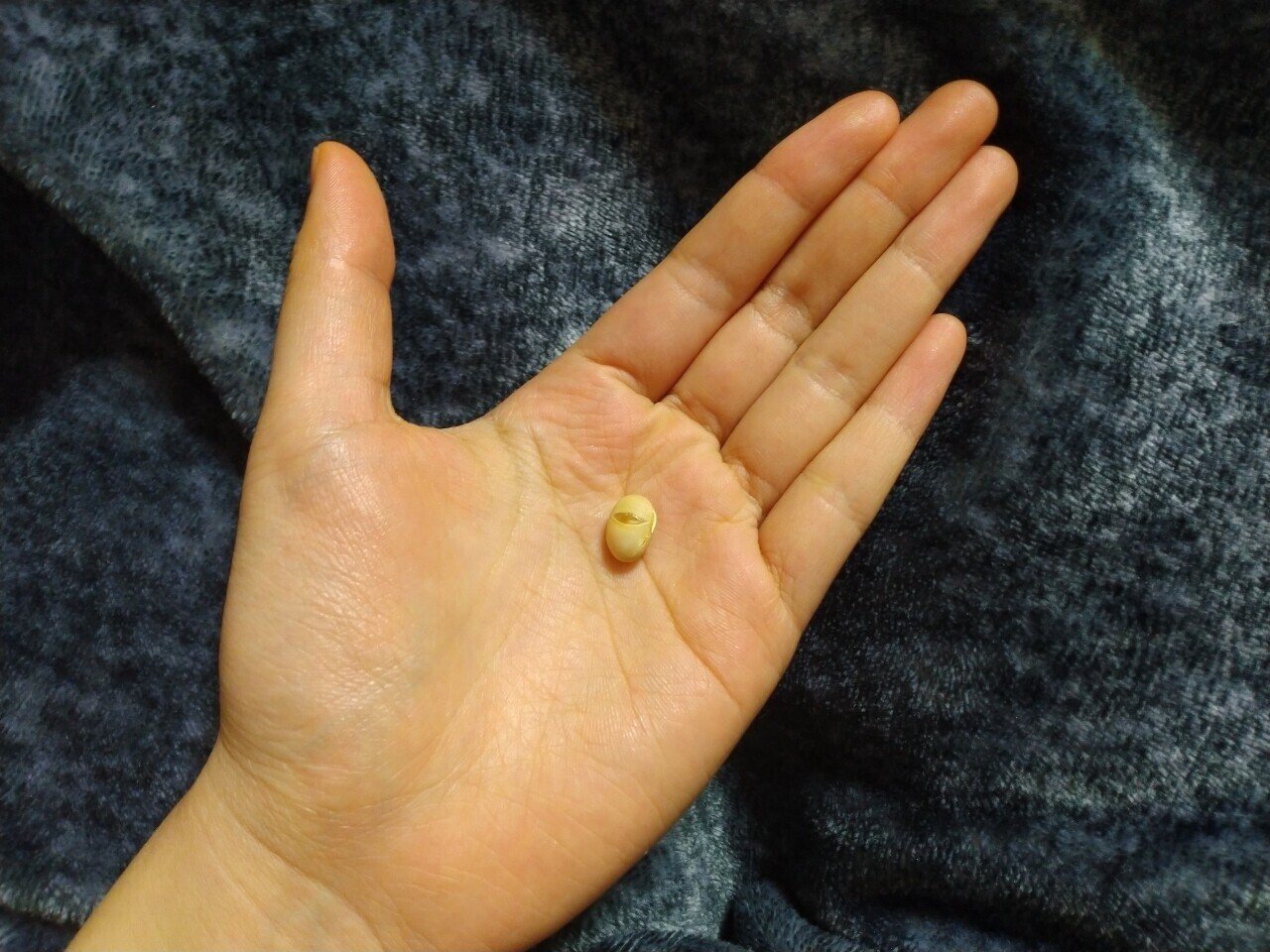 絶対綺麗になってやる 2 2 狂牛 Note