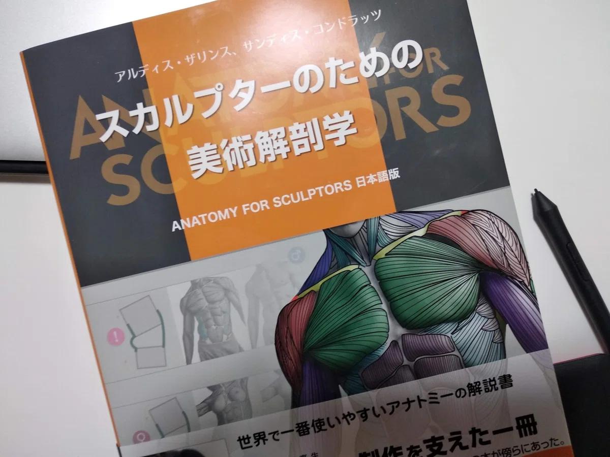 スカルプターのための美術解剖学』の模写を絵が上手くなるまで続ける