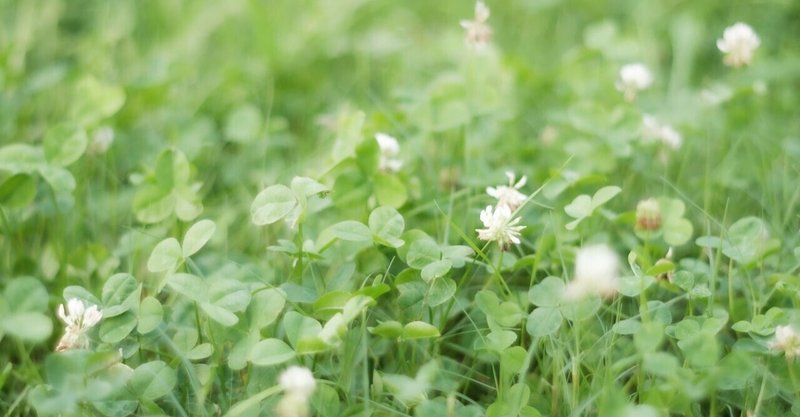 クローバーの折り紙 あおい Note