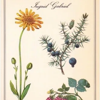 geranium|note
