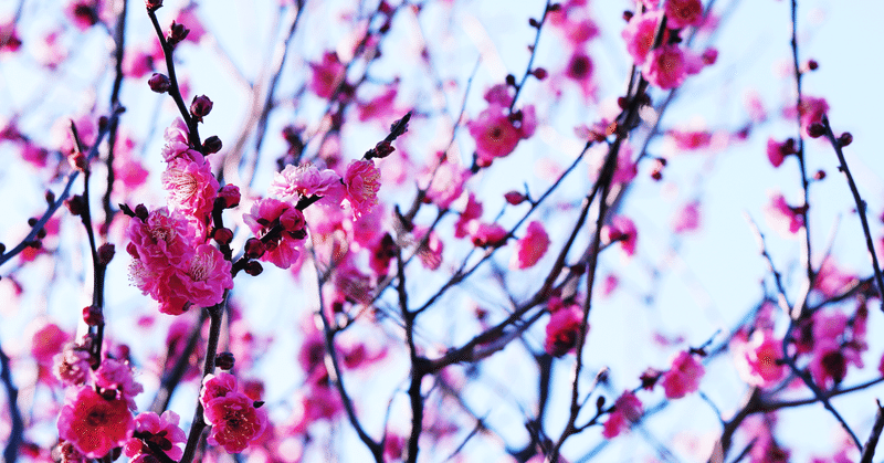 グーグル アマゾン時間外さらに上昇 つみたてひろむ note