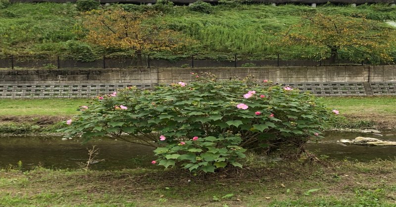 長距離通勤 の新着タグ記事一覧 Note つくる つながる とどける