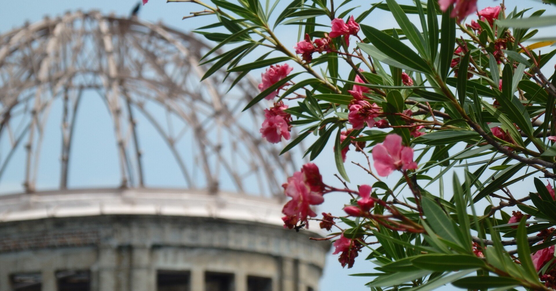夾竹桃の花 原爆の子の像 Goku Note