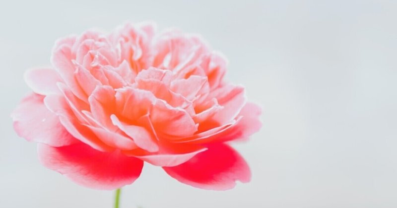 日 米 韓の視点を持つ作者が女の一生と差別問題を淡々と描いた傑作 倉田幸信 翻訳書ときどき洋書 Note