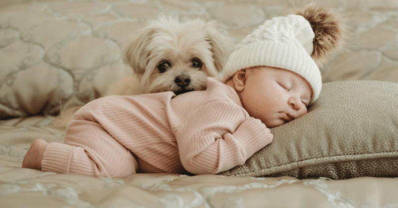 子供と犬 2 ノリノリ Note 子供と犬 2 ノリノリ Note