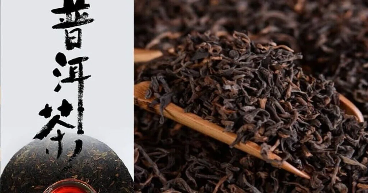 普洱茶16年醗酵 慶光茶荘のイチオシ｜慶光茶荘 | 台湾茶・中国茶で