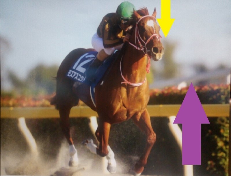 サイン競馬ブログ 斎藤司 サイン競馬の世界