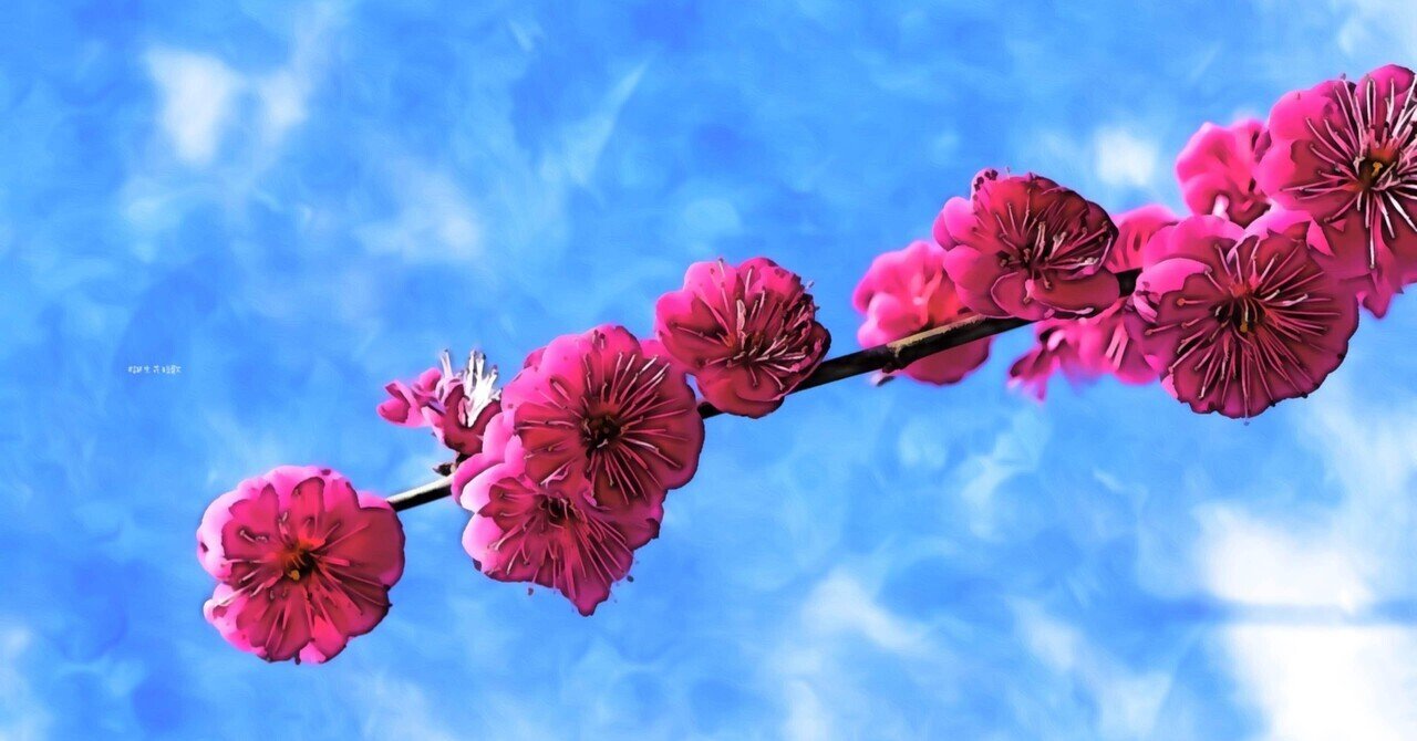 2月3日 誕生花は紅梅 誕生花短歌 御子柴 流歌 Note 2月3日 誕生花は紅梅 誕生花短歌 御子柴 流歌 Note