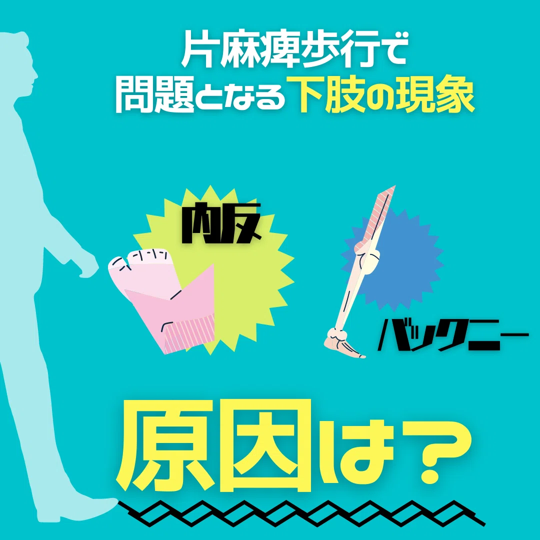 【脊髄シリーズ②】筋の過緊張を引き起こす伸張反射と反回抑制｜中上博之/理学療法士