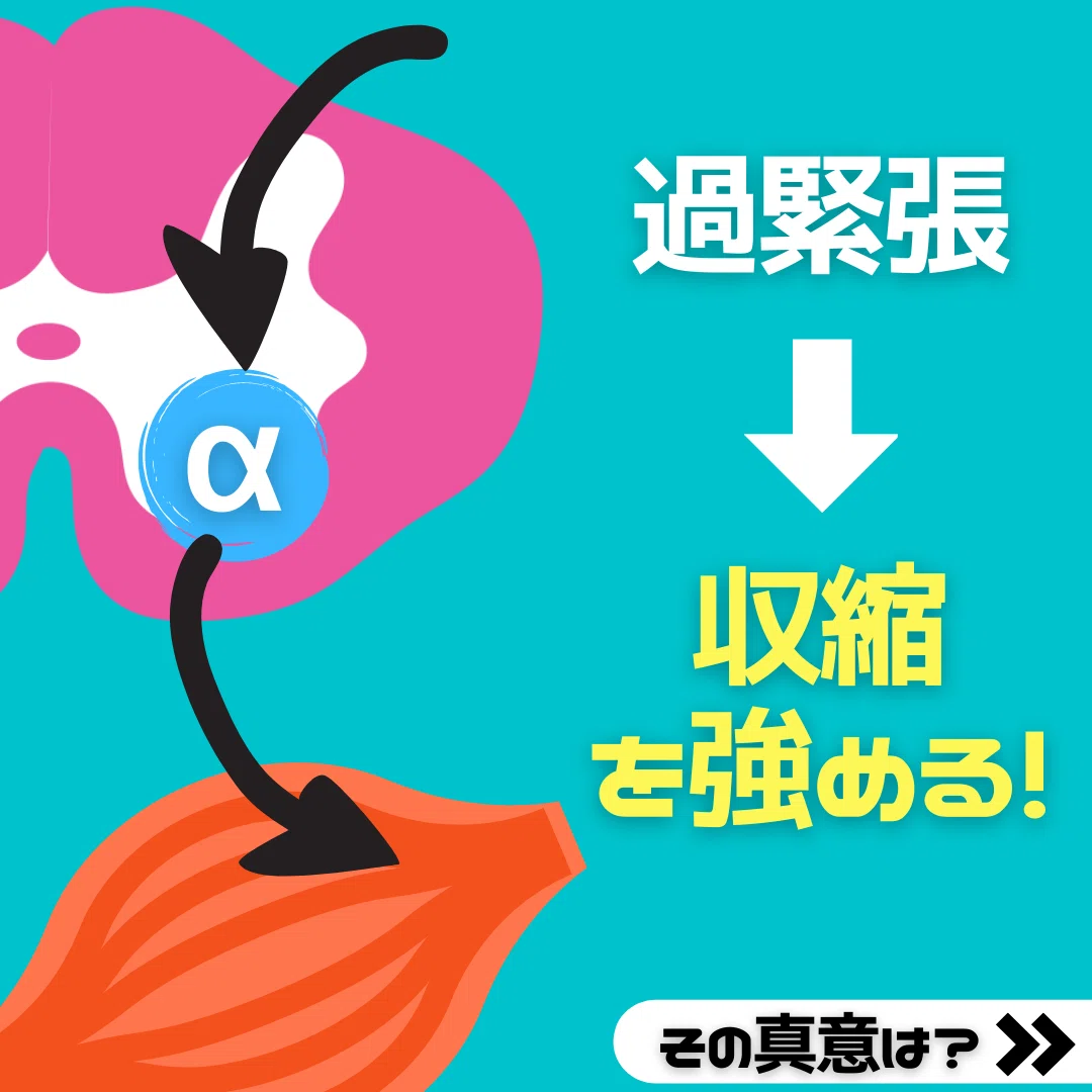 【脊髄シリーズ②】筋の過緊張を引き起こす伸張反射と反回抑制｜中上博之/理学療法士