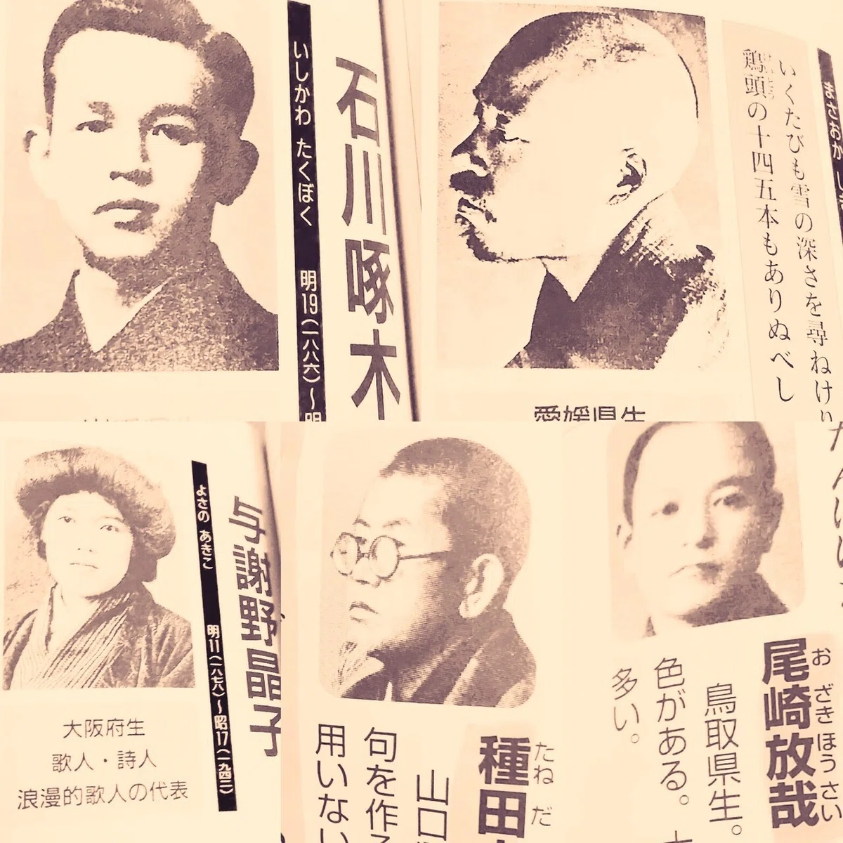 画像19