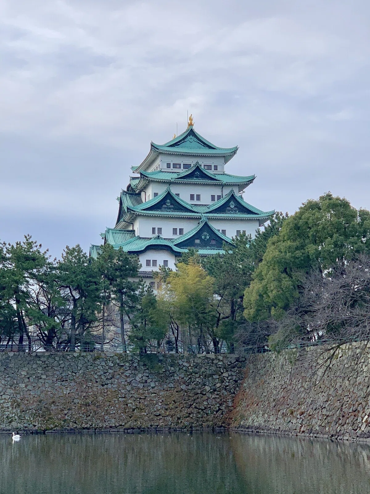 画像9