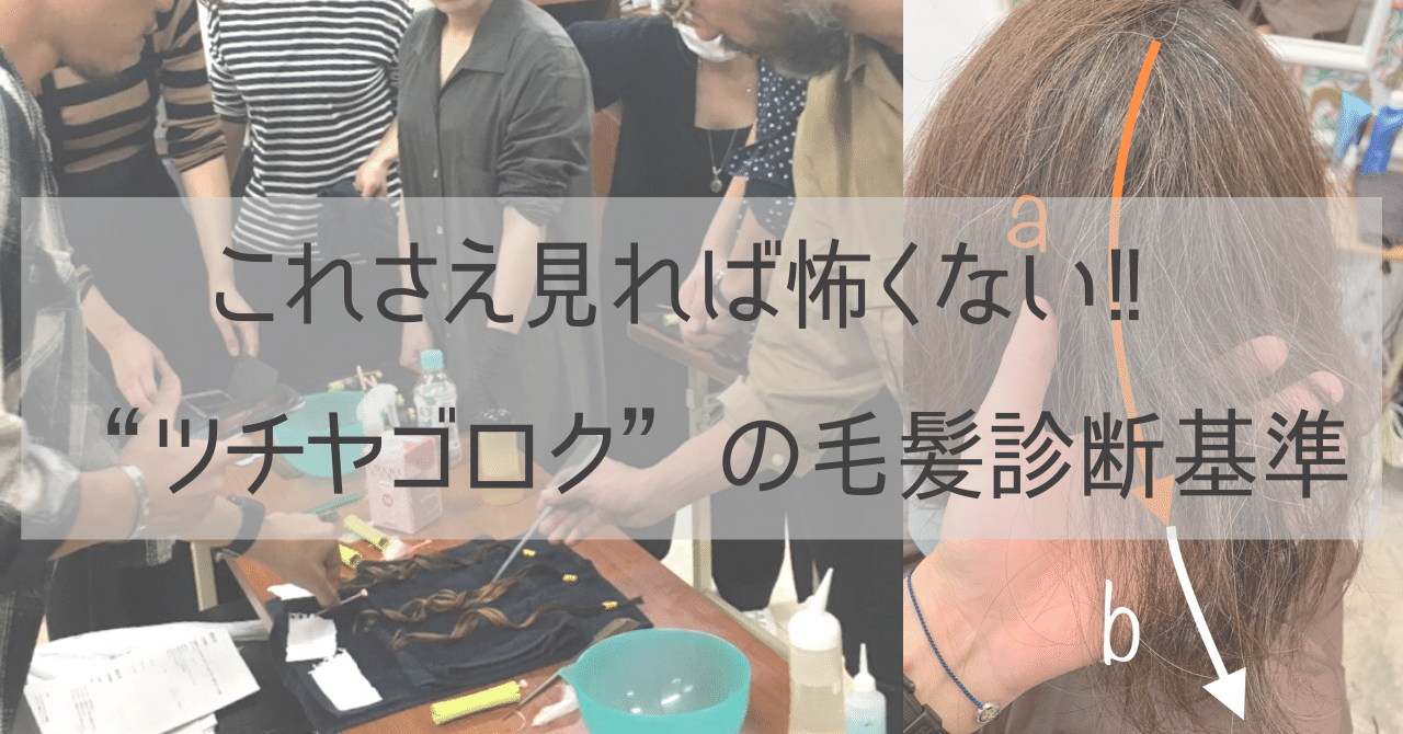 これさえ見れば怖くない ツチヤゴロク の毛髪診断基準 ツチヤゴロク 美容師 アリミノ専属講師 Note