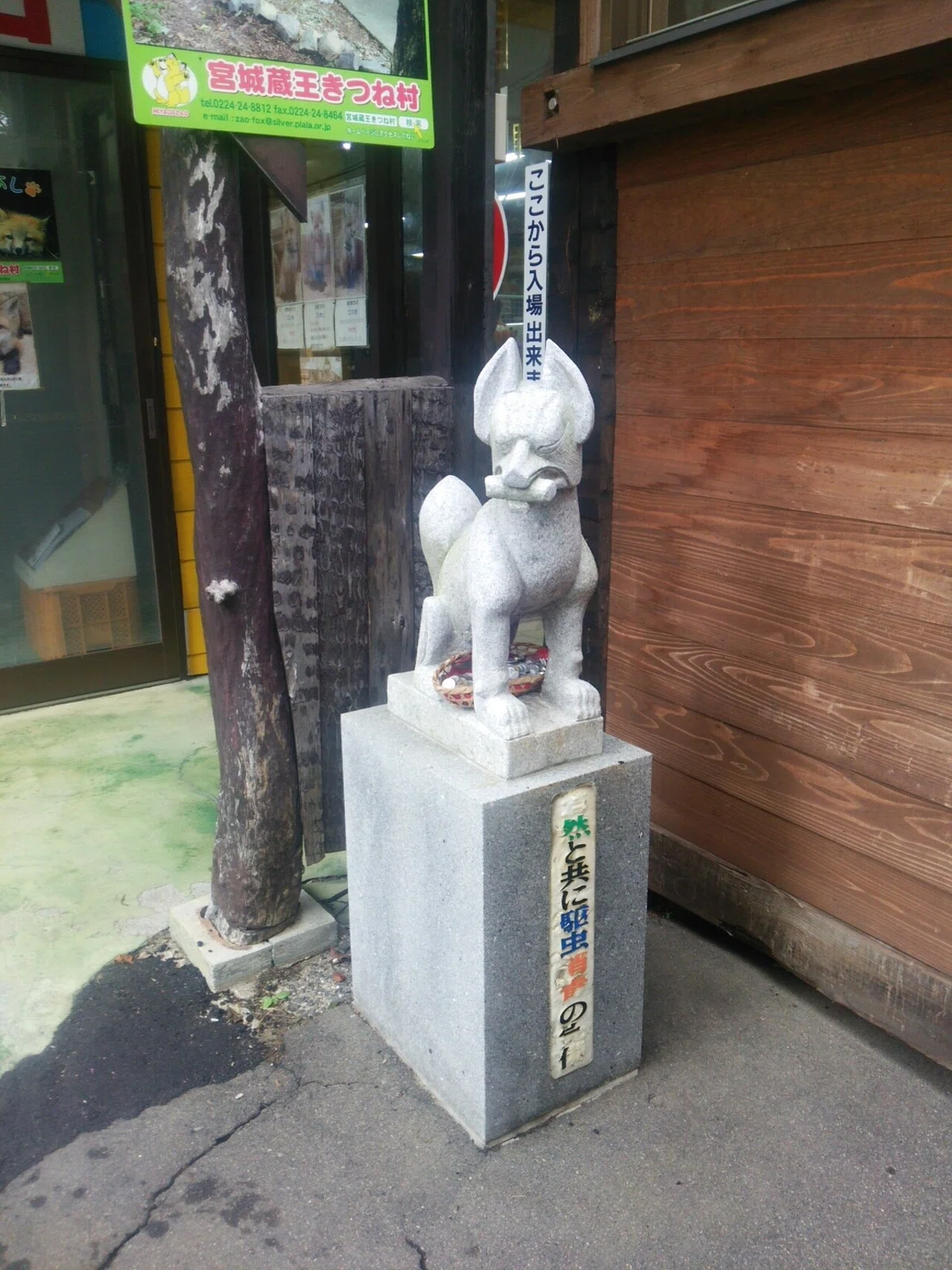 画像6