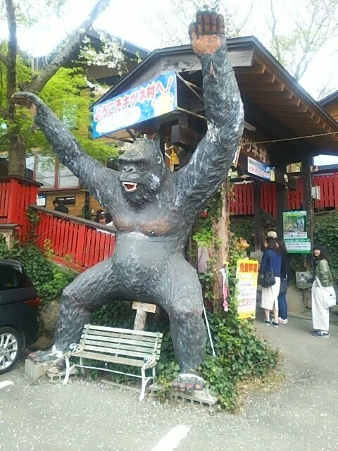 画像8
